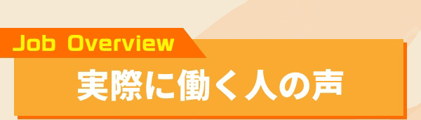 Job Overview 実際に働く人の声